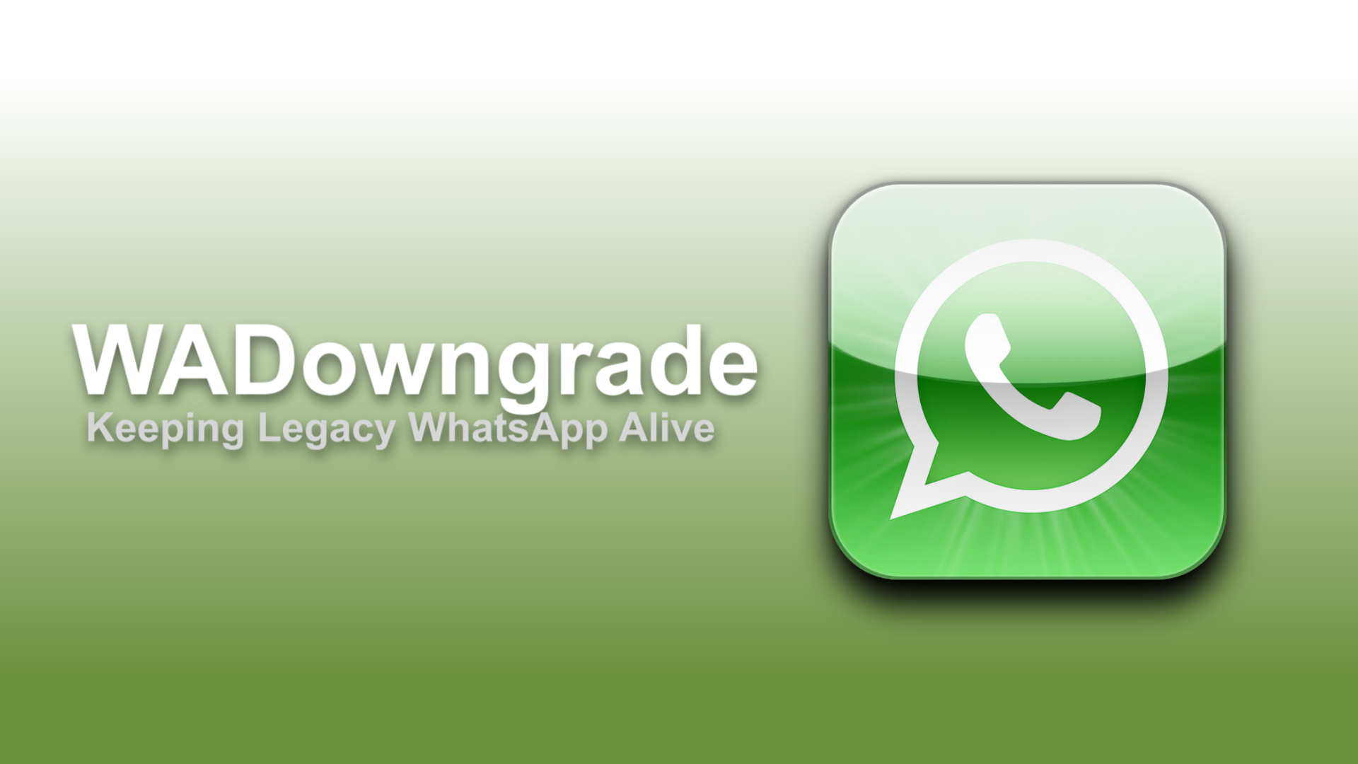 WADowngrade preview